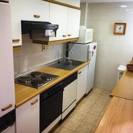 アパート Apartamentos Formigal フォルミガル